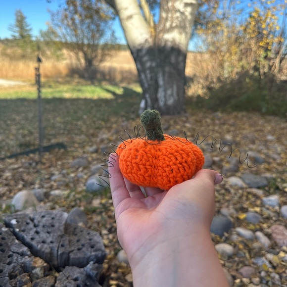 Hand made pumpkin decor - Picture 4 of 5